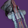 Techeun's Regalia Class