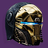 Sage Protector Helmet